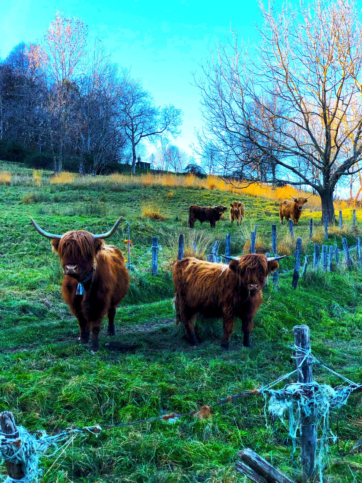 Agritourism in San Fedele, Val d’Intelvi